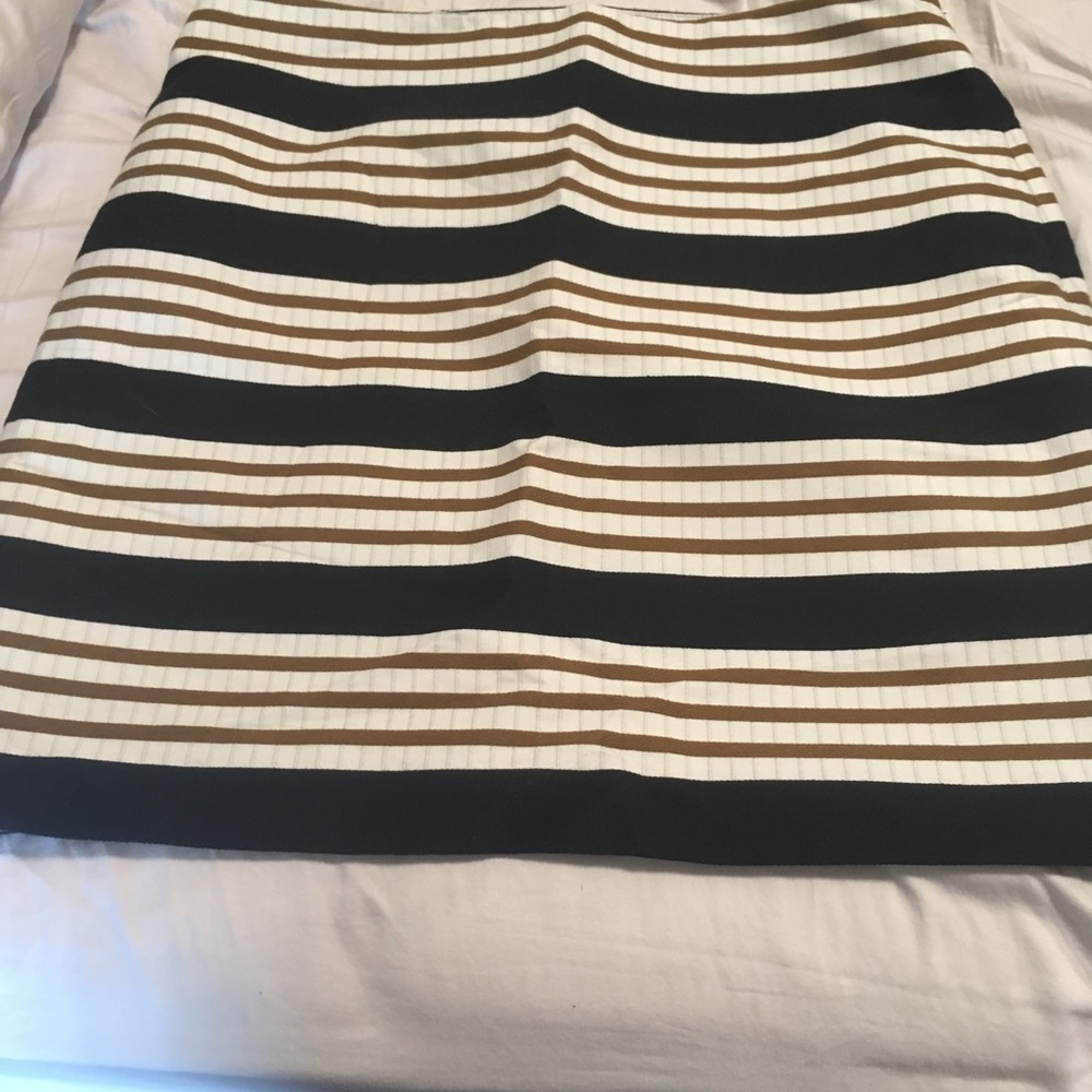 NWT Skirt from Loft